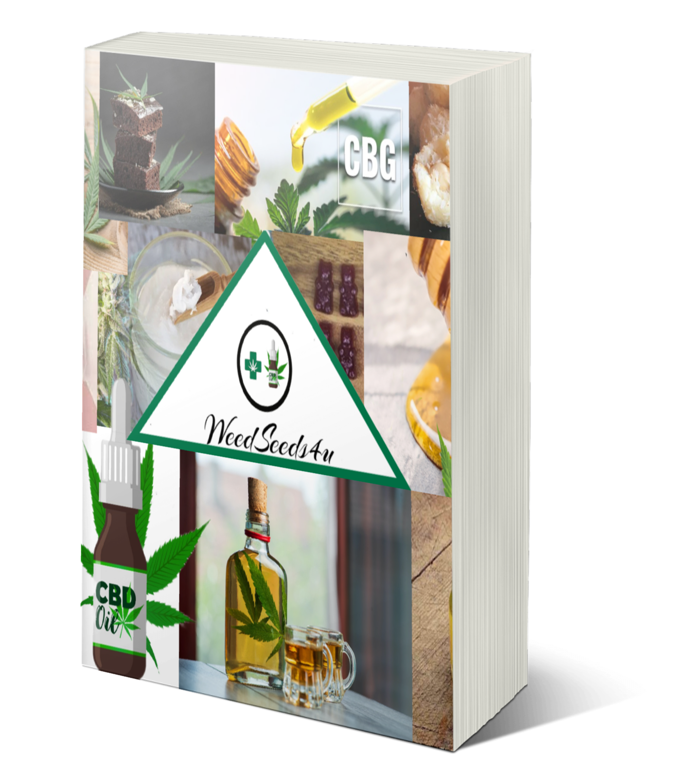 Ein kostenloses Buch über medizinisches Cannabis liegt neben einer Cannabispflanze auf einem Tisch. Es bietet umfassende Informationen und gesundheitliche Vorteile für Patienten.
