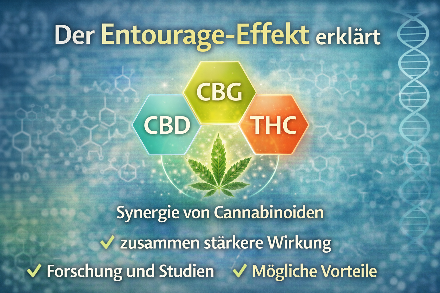 Entourage Effekt erklärt – wie Cannabinoide wie CBD, CBG und THC zusammen stärker wirken können