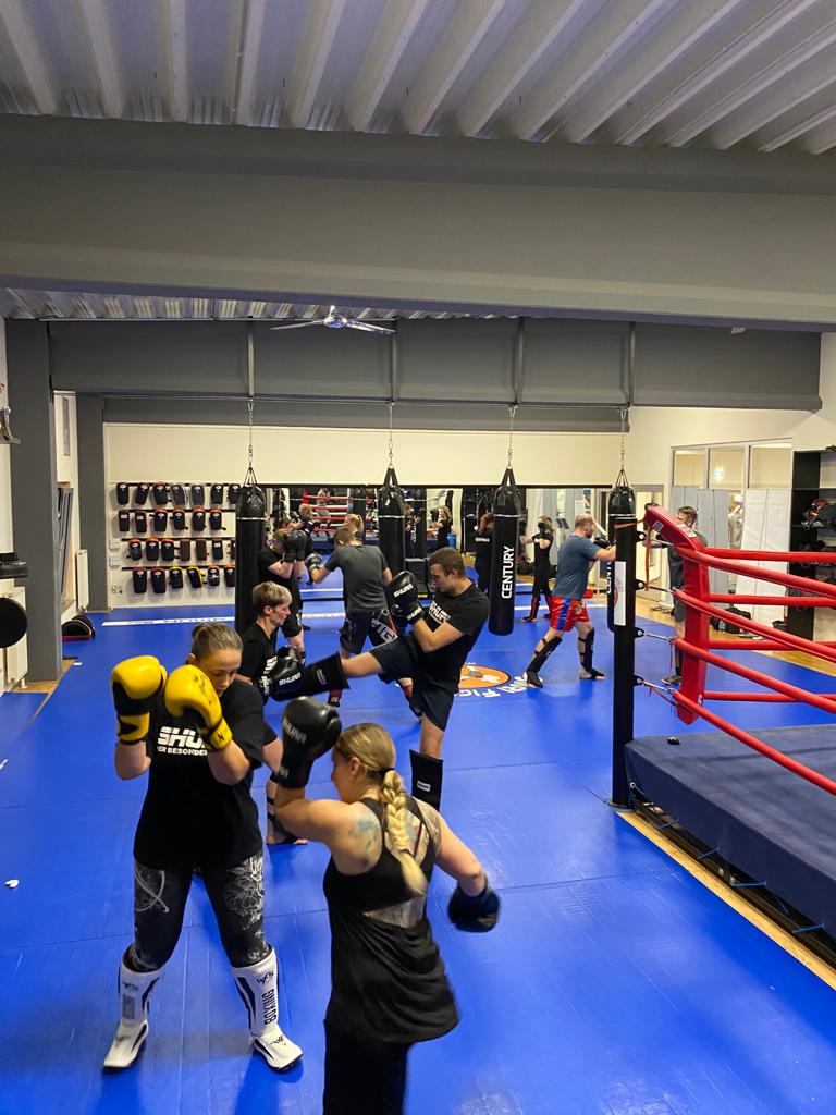 Training im Shuri Gym Zwickau