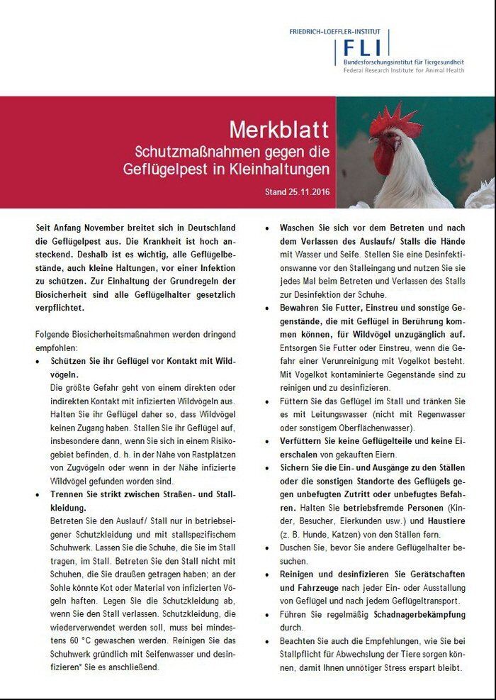 Nutzgeflügel schützen Schutzmassnahmen gegen die Geflügelpest in Kleintierhaltung