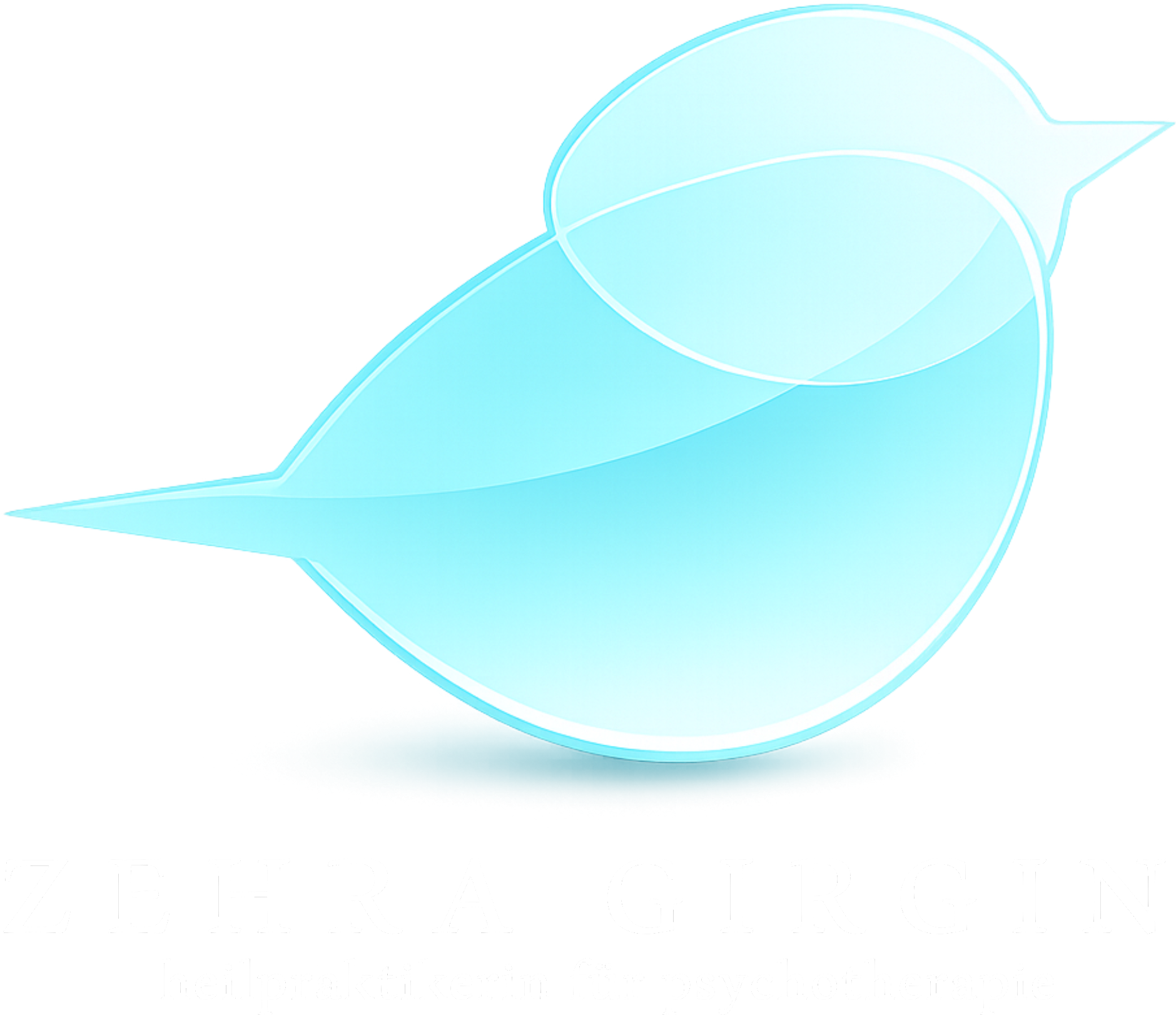 Logo von HPP Zehra Girgin