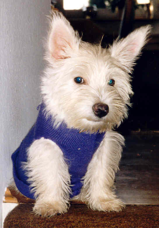 Mit 4 Monaten, noch total erkältet im lila Pulli