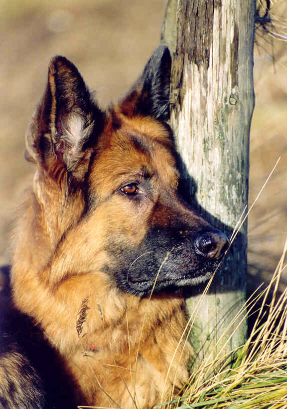 Norddeutschland 7 Jahre alt