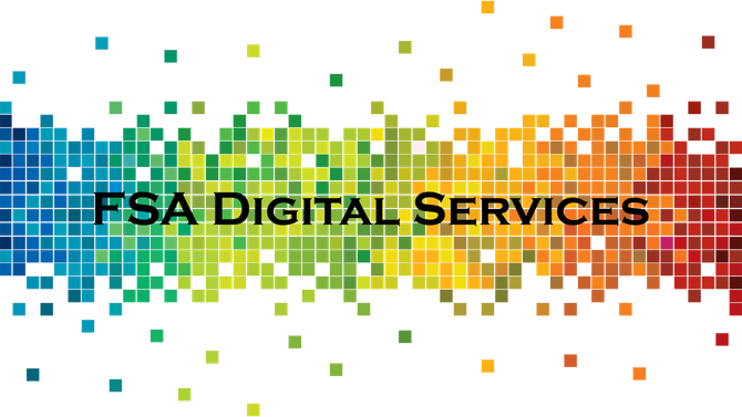 FSA Digital Services logo