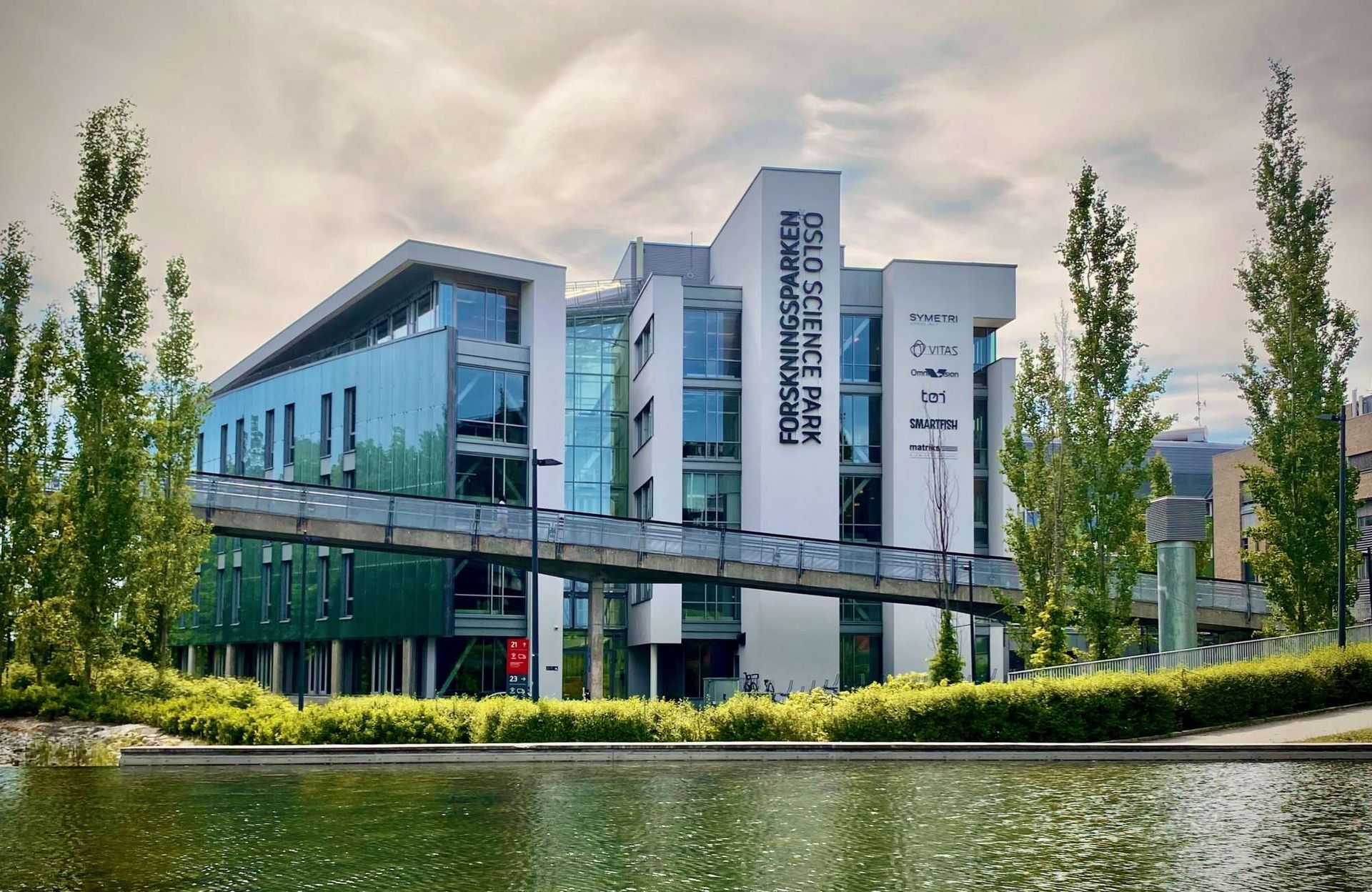 Zinzino - Trockenbluttest und Fettsäuren Balance