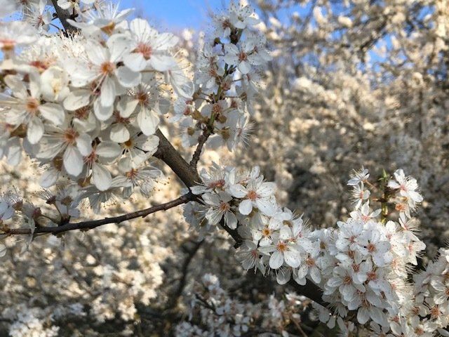 Abschied und Neubeginn