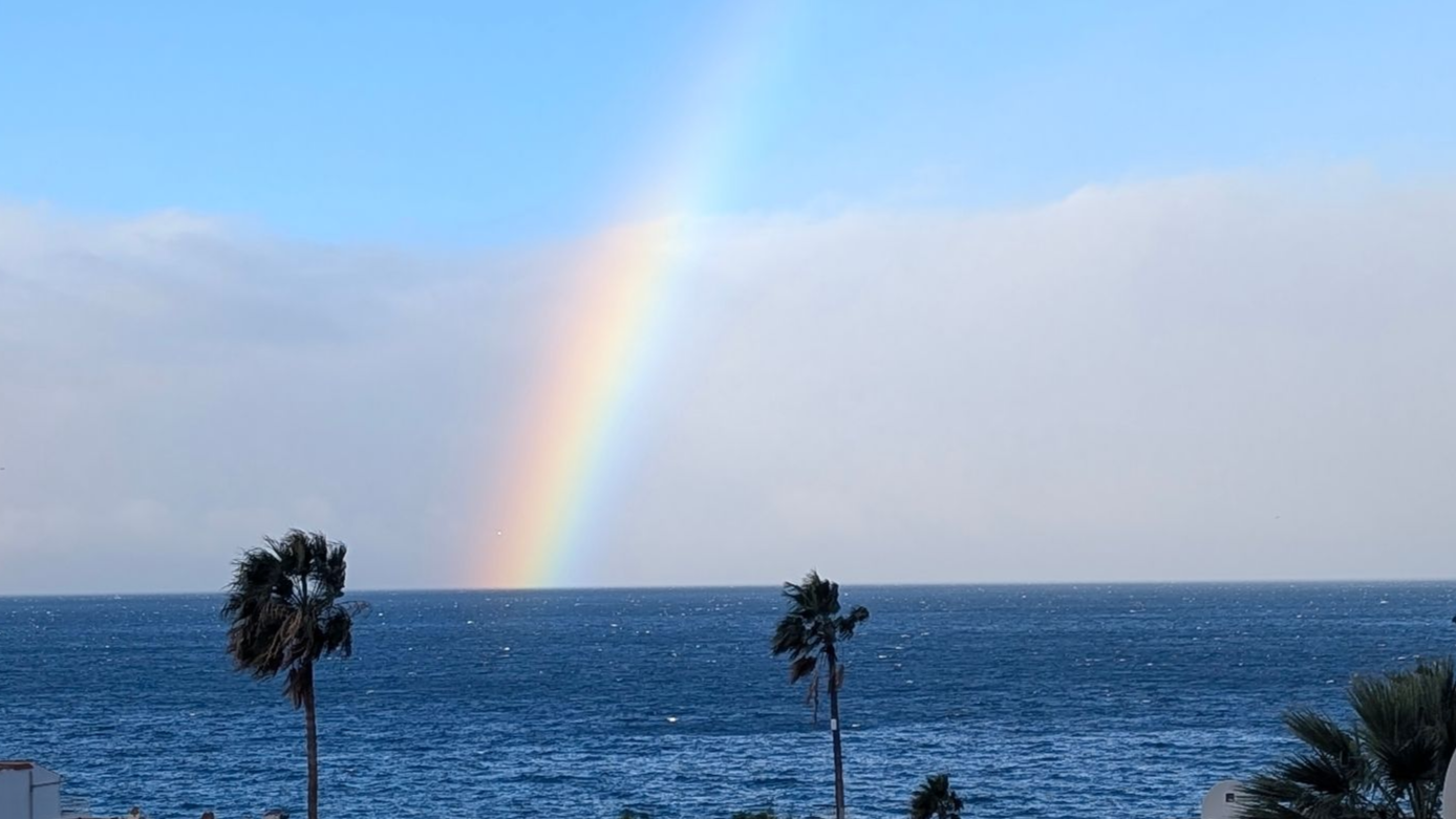 Eine Anleitung, den eigenen Wünschen auf die Spur zu kommen