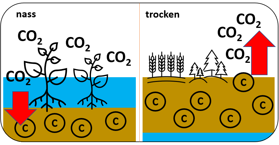 Runder Tisch Naturschutz NF e.V.