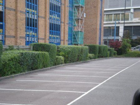 Mamas & Papas Southampton with Hedges Mamas & Papas Southampton with Hedges