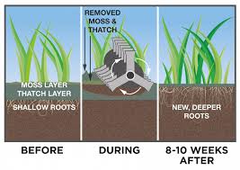 Showing the benefits of Lawn Scarification