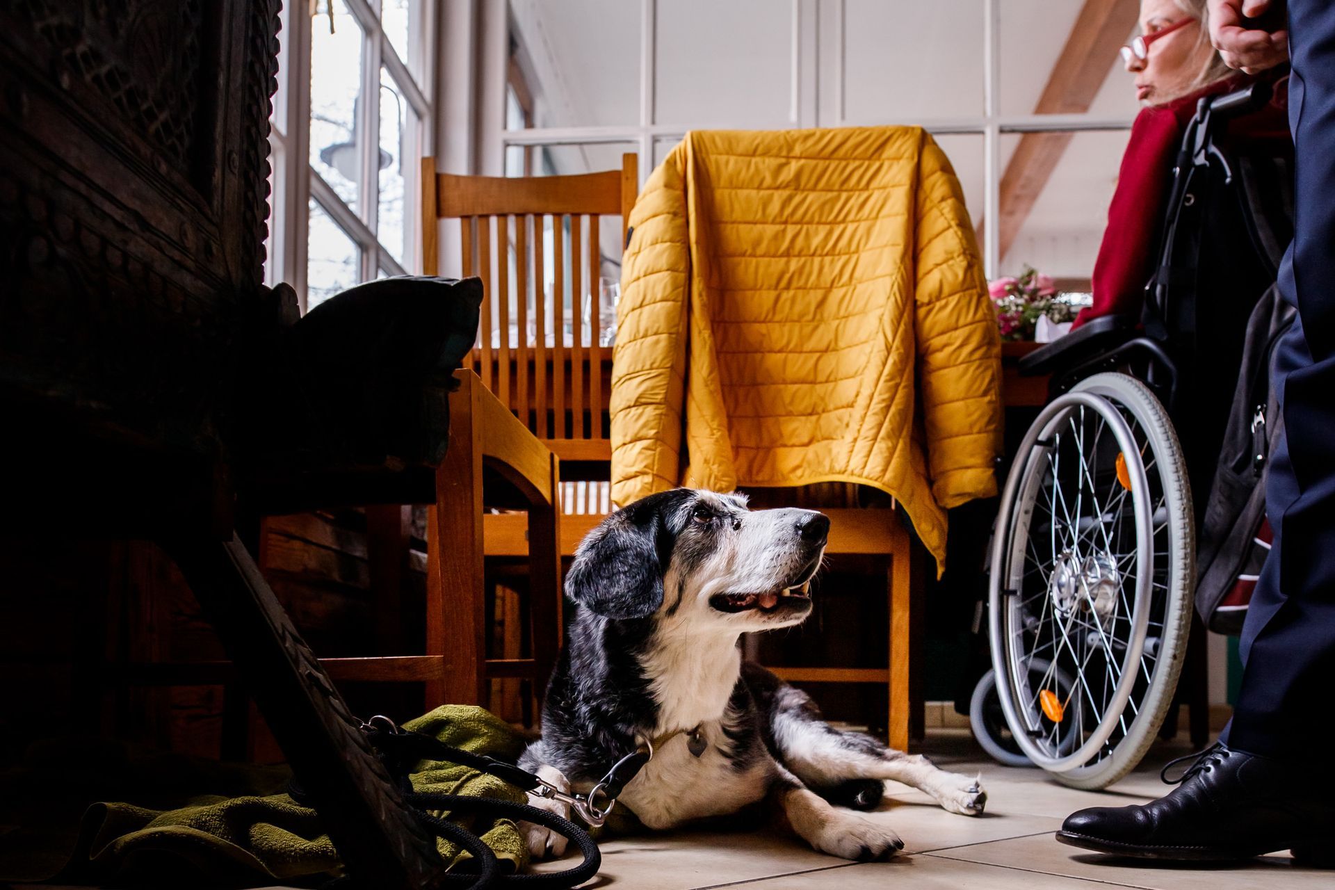 strandbad uebersee chiemsee hund als gast