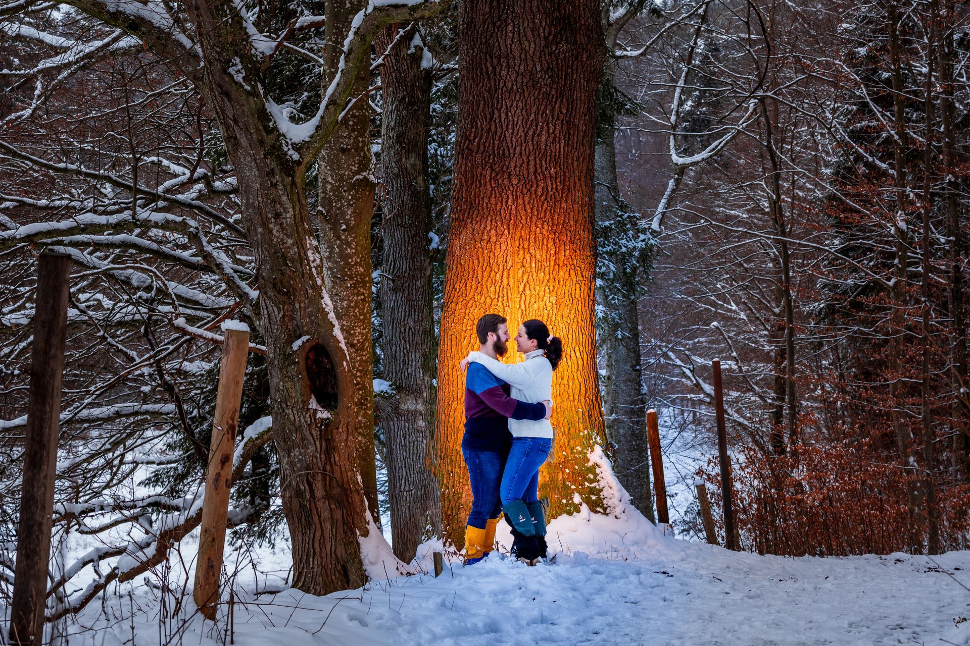 paar vor baum oranges licht im hintergund am baum