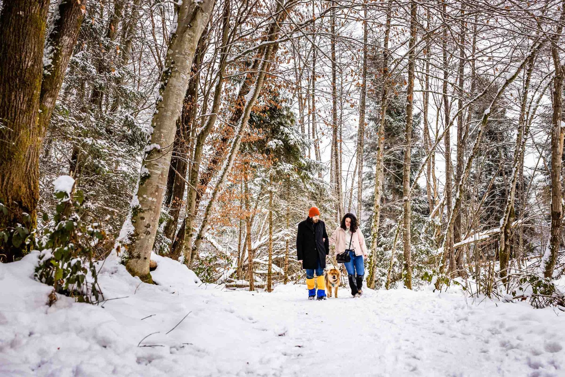 paar spaziert mit hund im wald im winter