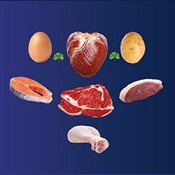 Das Bild zeigt per Symbol die 10 guten Gründe für Dinner for Dogs