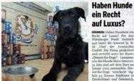 Das Bild zeigt einen Ausschnitt eines Presseartikels über Dionner for Dogs