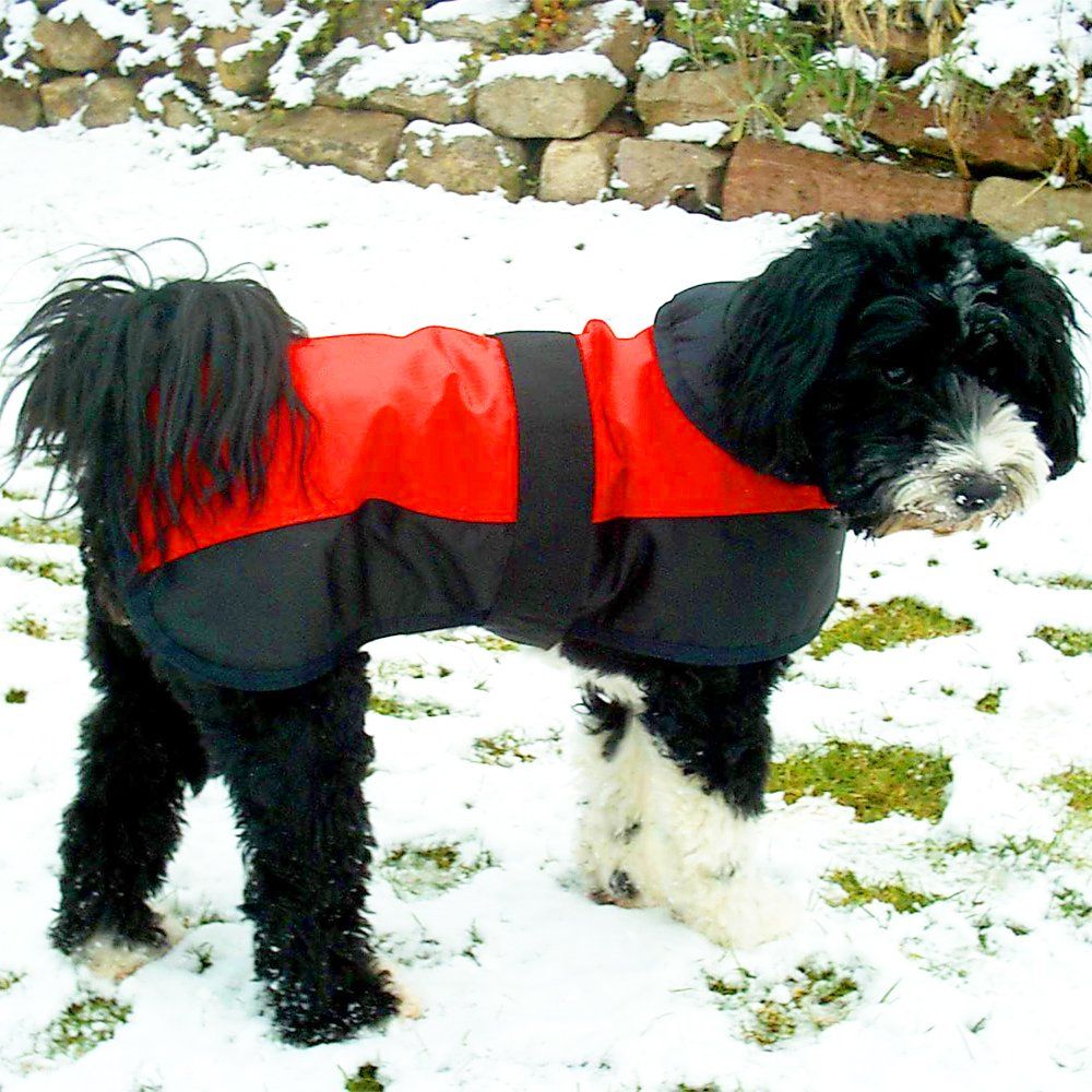 Das Bild zeigt den Hund eines unserer Kunden