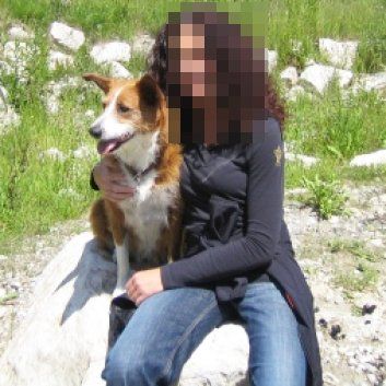 Das Bild zeigt einen Hund aus den Kundenfeedbacks