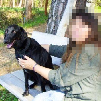 Das Bild zeigt einen Hund aus den Kundenfeedbacks