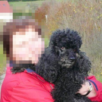 Das Bild zeigt den Hund eines unserer Kunden