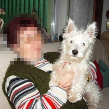 Das Bild zeigt den Hund eines unserer Kunden