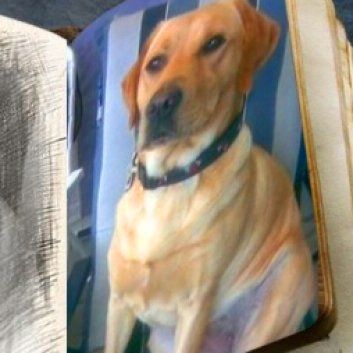 Das Bild zeigt einen Hund aus der Rubik Kundenfeedbacks