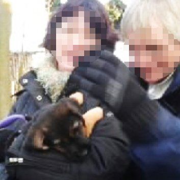 Das Bild zeigt einen Hund aus der Rubik Kundenfeedbacks