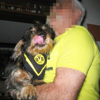 Das Bild zeigt den Hund eines unserer Kunden