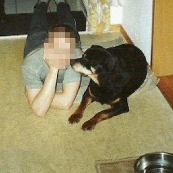 Das Bild zeigt den Hund eines unserer Kunden