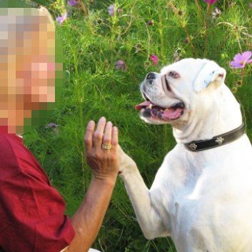 Das Bild zeigt den Hund eines unserer Kunden