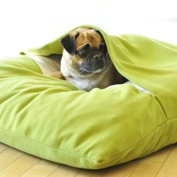 Das Bild zeigt den Hund eines unserer Kunden