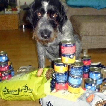 Das Bild zeigt den Hund eines unserer Kunden