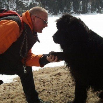 Das Bild zeigt den Hund eines unserer Kunden