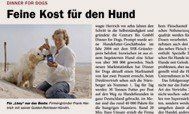 Das Bild zeigt einen Ausschnitt eines Presseartikels über Dionner for Dogs