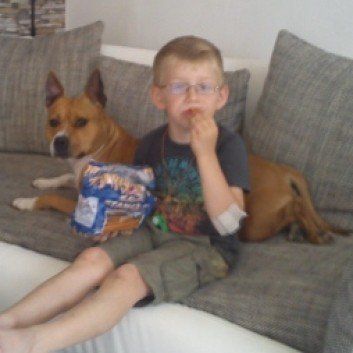 Das Bild zeigt den Hund eines unserer Kunden