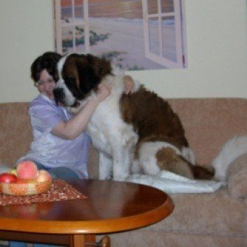 Das Bild zeigt den Hund eines unserer Kunden