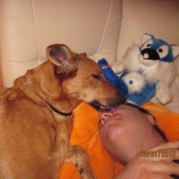 Das Bild zeigt den Hund eines unserer Kunden