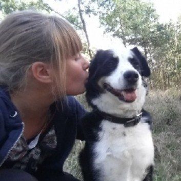 Das Bild zeigt einen Hund aus den Kundenfeedbacks