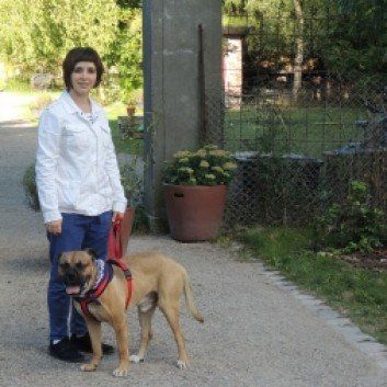 Das Bild zeigt einen Hund aus den Kundenfeedbacks