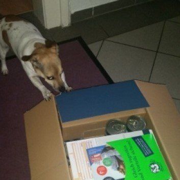 Das Bild zeigt den Hund eines unserer Kunden