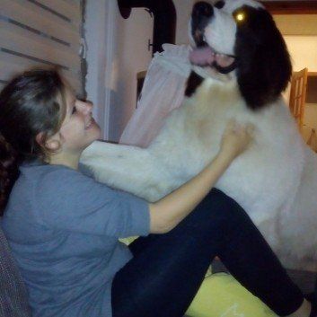 Das Bild zeigt den Hund eines unserer Kunden