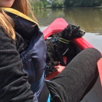 Das Bild zeigt den Hund eines unserer Kunden