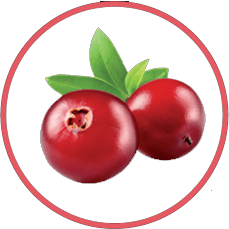 Das Bild zeigt Zerejalien des Produkts Superfoods Cranberry