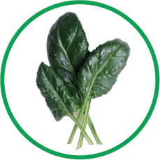 Das Bild zeigt Bestandteile der Nahrungsergänzung