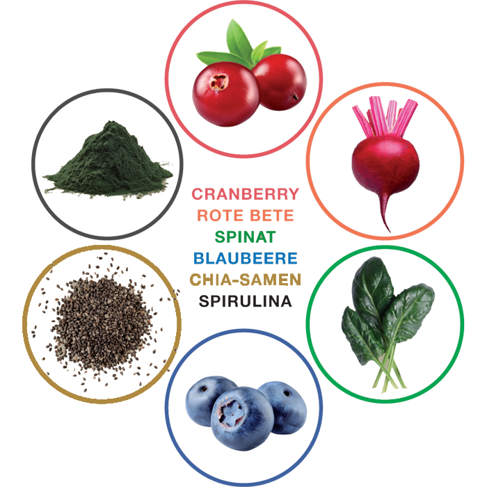 Das Bild zeigt Bestandteile der Nahrungsergänzung