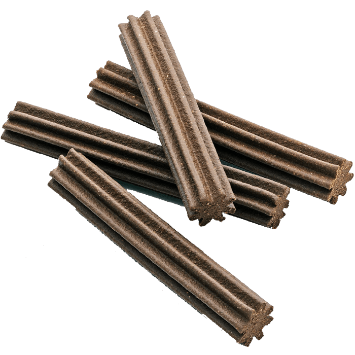 Das Bild zeigt die Denta-Kausticks