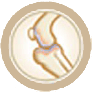 Das Bild zeigt ein Piktogramm aus der Rubrik Nahrungsergänzung