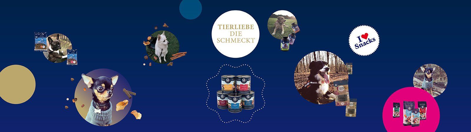 Das Bild zeigt verschiedene Hunde und den Text