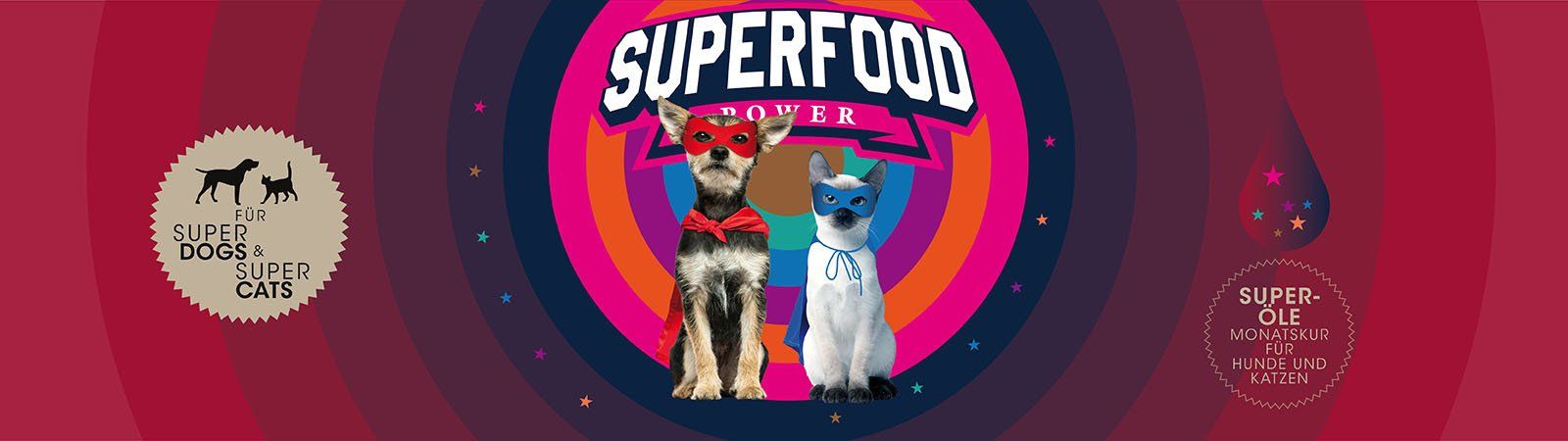 Das Bild zeigt einen Hund und eine Katze und den Text