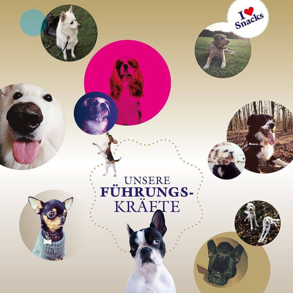 Das Bild zeigt verschiedene Hunde und den Text