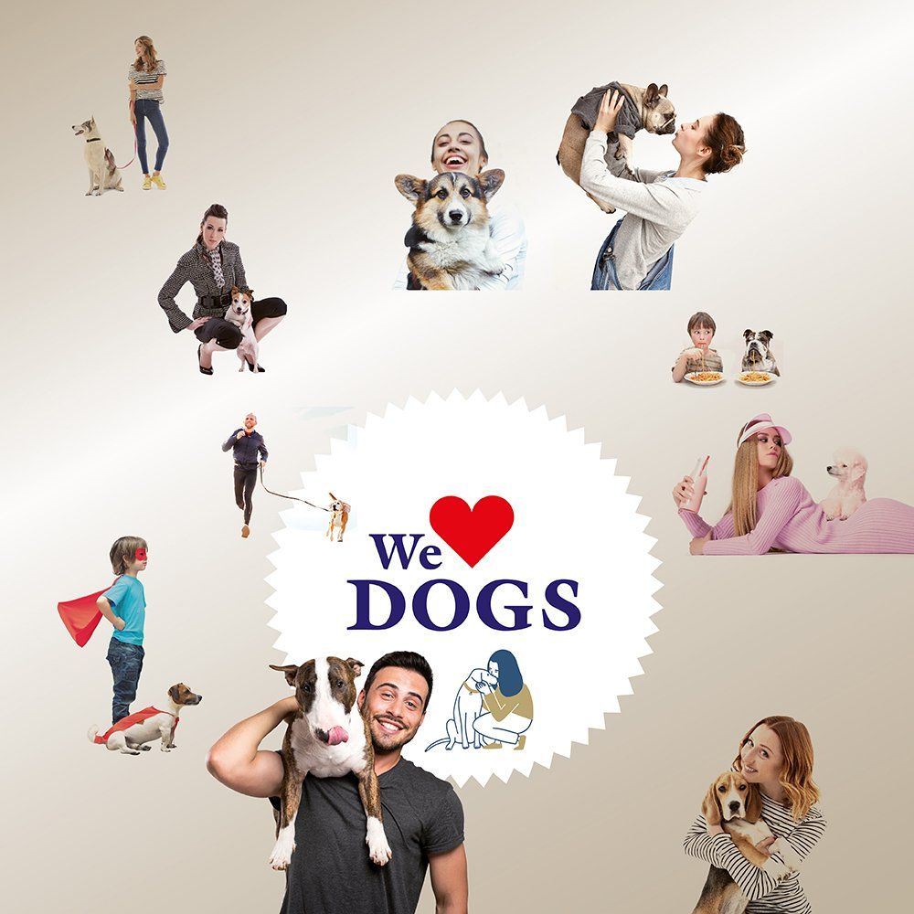 Das Bild zeigt verschiedene HUnde und den Text